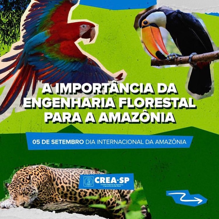 1 repost crea-sp - a importancia da engenharia florestal para amazonia