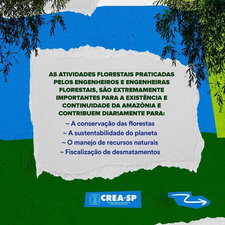 2 repost crea-sp - a importancia da engenharia florestal para amazonia