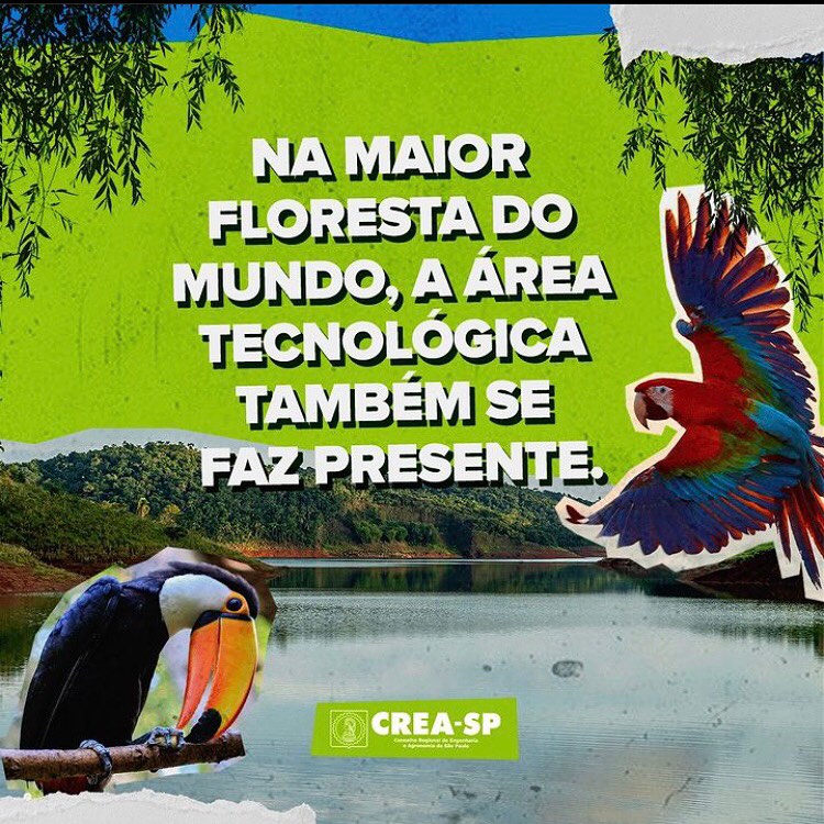 3 repost crea-sp - a importancia da engenharia florestal para amazonia